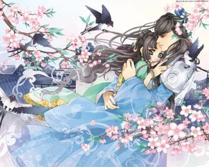 老狼ak永久回家网址